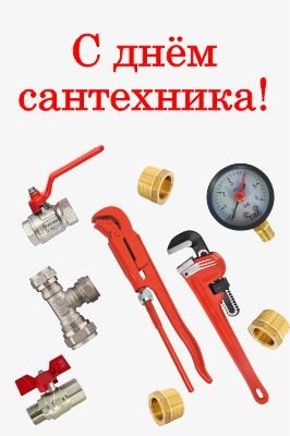 Всемирный день сантехника