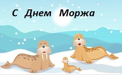 День моржа открытка