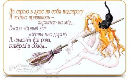 День недотрог картинки