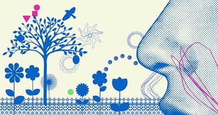 Аллергия фон