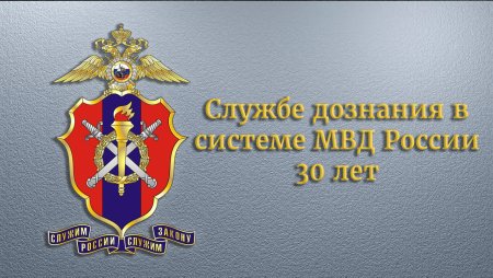 День дознания МВД России