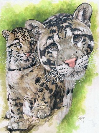 Картинки для декупажа большие кошки