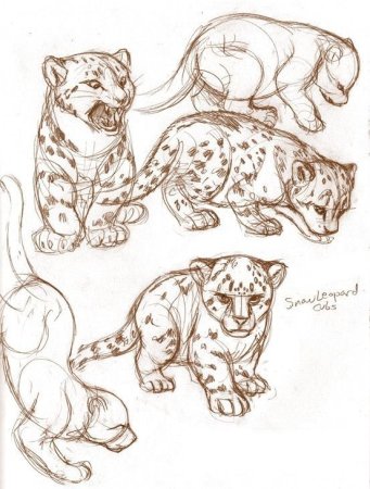 Рисунки карандашом диких кошек