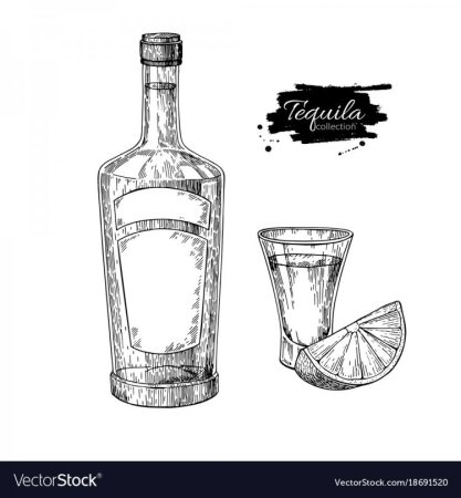 Бутылка водки рисунок