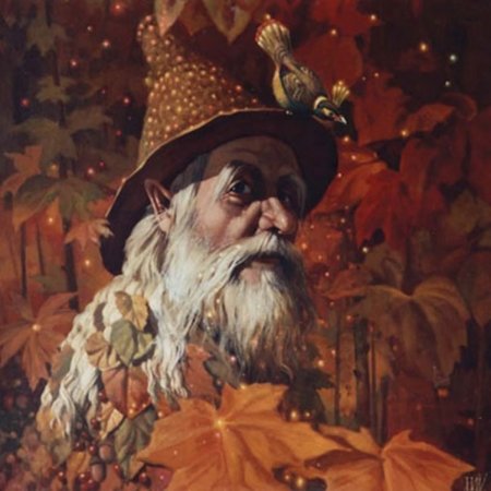 Старичок Боровичок Лесной дед