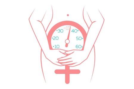 Менопауза рисунок