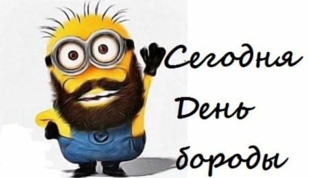 С днем бороды открытки прикольные