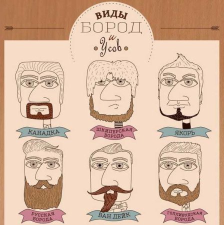 Приколы про бороду и усы