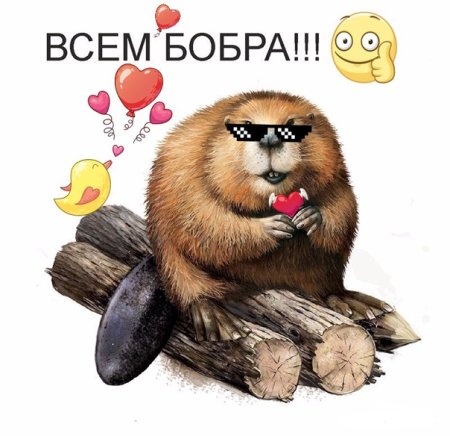 Открытка с бобром день рождения