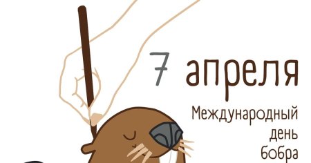 С днем бобра поздравление