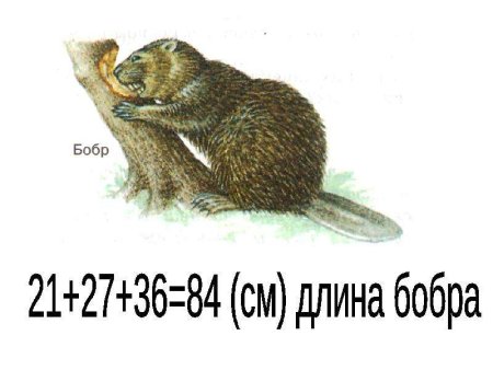 С днем бобра поздравление