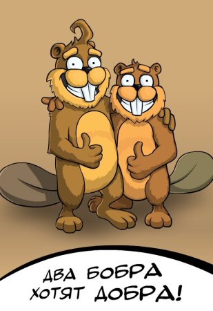 Смешные бобры