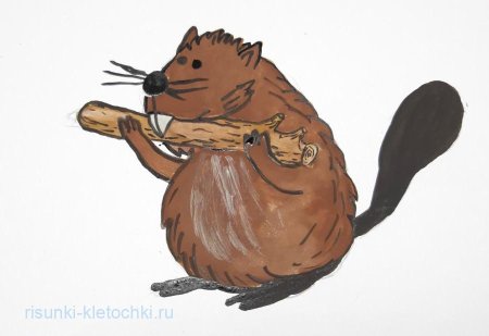 Бобр машет лапкой