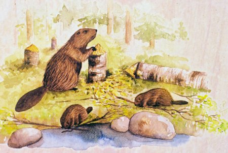 Бобр в искусстве