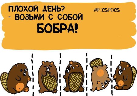 Возьми настроение с собой