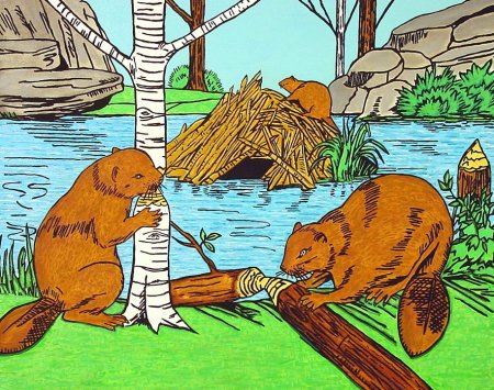 Рисунок бобра