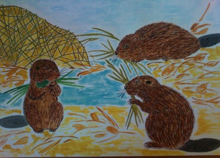 Листопадничек Соколов-Микитов