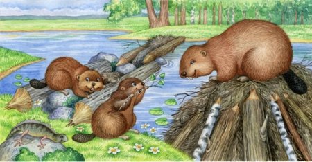 Снегирёв бобрёнок