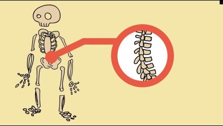 Пептиды для суставов