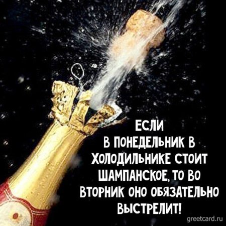 Лень шампанского