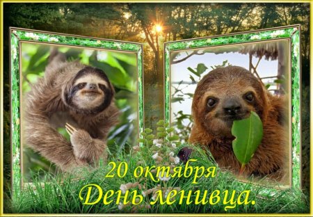 Ленивец поздравляет с праздником