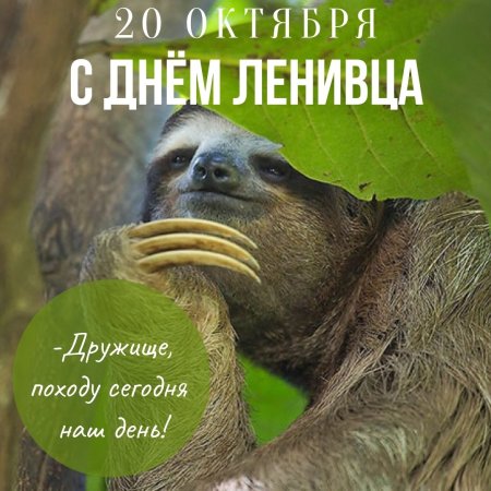 Редакция Мем