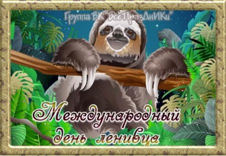 Международный день ленивца