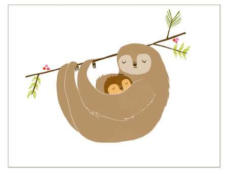 Ленивец с мамой