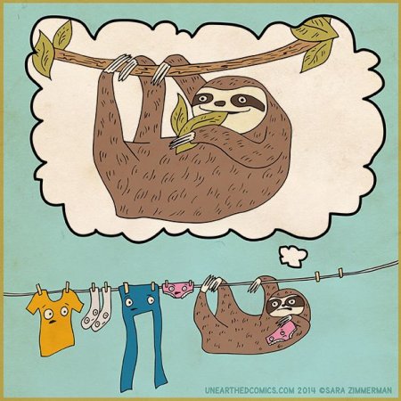 Ленивец иллюстрация