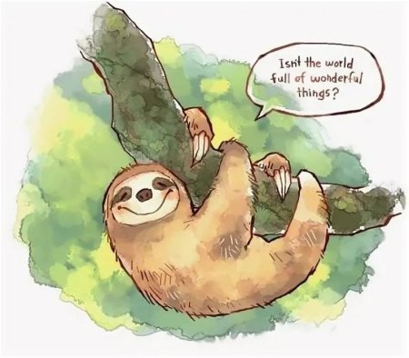 Ленивец смешной рисунок