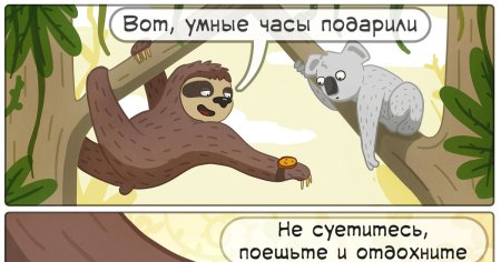 Ленивец с деньгами