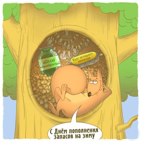 Карикатуры про белку