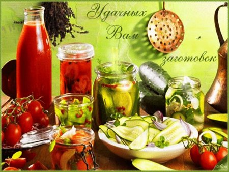 Заготовки на зиму юмор