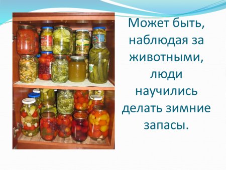 Открытки день пополнения запасов на зиму