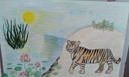 Природа родного края Приморский край