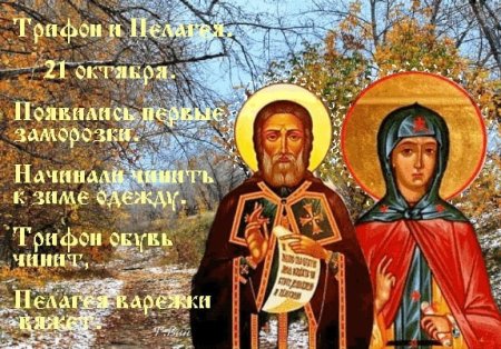 Трифон и Пелагея 21 октября картинки