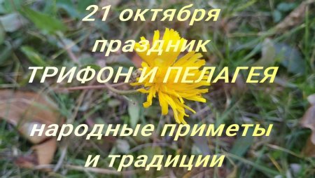 Праздник "Трифон и Пелагея" 21 октября 2022 г.