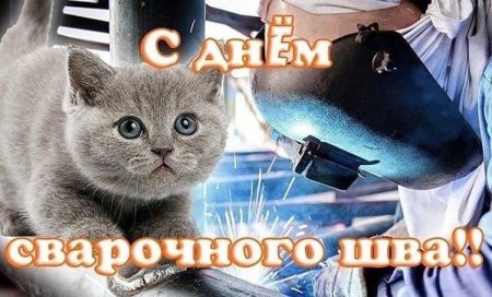 Поздравление с днем цемента