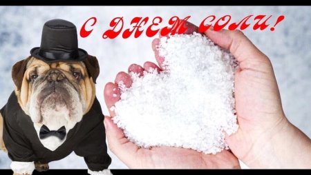 С днём солёного цемента