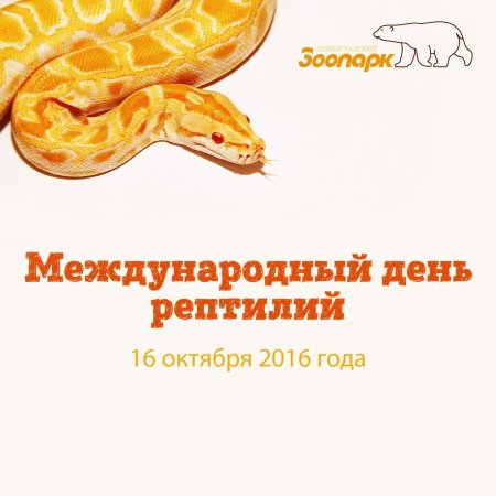 День рептилий