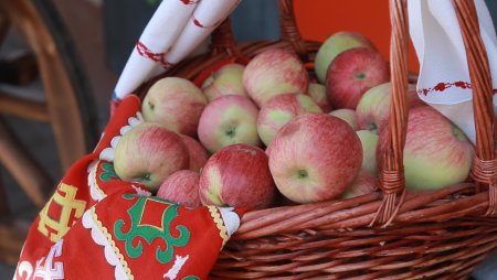 День яблока