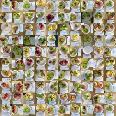 Занятие день яблока