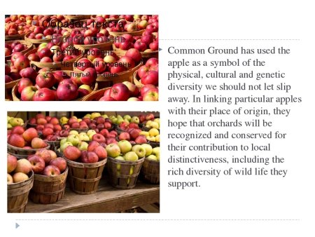 Международный день яблока