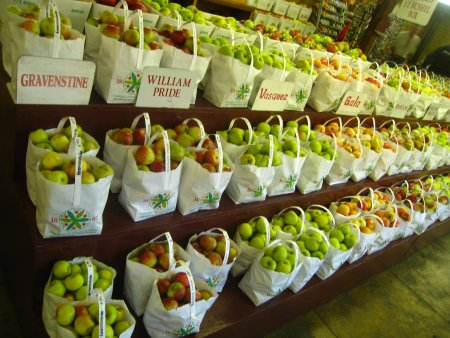 День яблока (Apple Day) - Великобритания