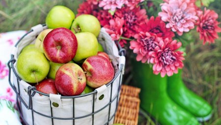 Всемирный день яблок