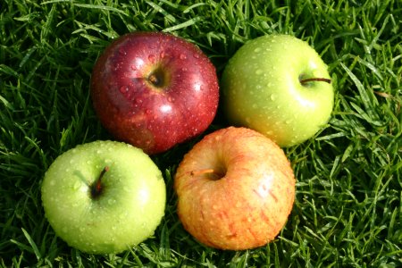 Всемирный день яблок