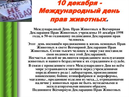 Международный день прав животных