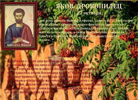 Яков Дровопилец народный календарь