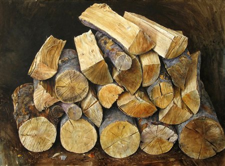 Бревно живопись