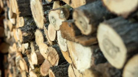 С днем дров